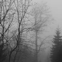 Nebel