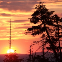 Sonnenuntergang am Dreisessel