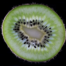 Kiwi_IMG_8032 (2048x1365)