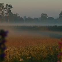 Vilsauen im ersten Sonnenlicht