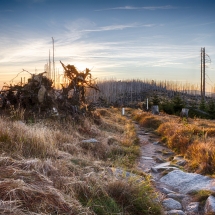 sonnenaufgang-im-ploeckensteiner-wald_2048_2580_hdr