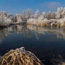 Vilsauen im Raureif 2