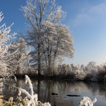 Vilsauen im Raureif 4