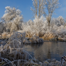 Vilsauen im Raureif 1